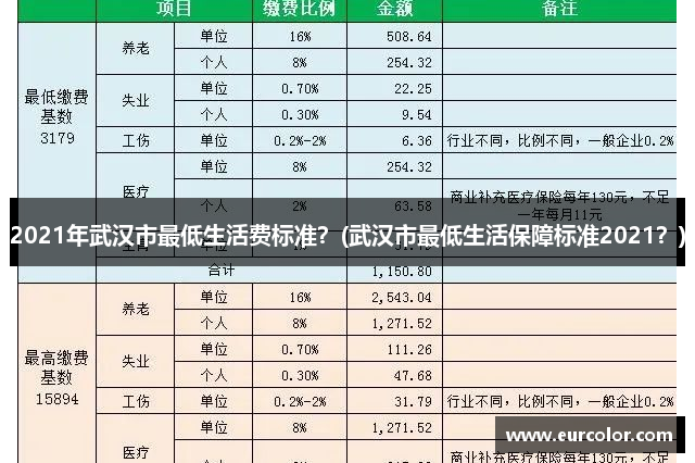 2021年武汉市最低生活费标准？(武汉市最低生活保障标准2021？)